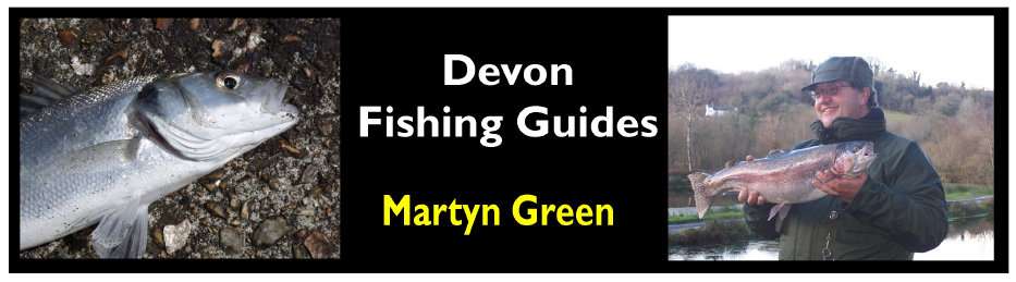 Link to Devon Fishing Guides, where you can book Martyn Green, licenced tridiscipline angling coach and coach educator, for individual 
sessions or group bookings.